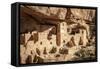 Mesa Verde-Tim Oldford-Framed Stretched Canvas