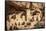 Mesa Verde-Tim Oldford-Framed Stretched Canvas