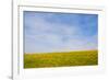 Meskel field in Simien Mountain, Ethiopia-Keren Su-Framed Photographic Print