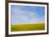 Meskel field in Simien Mountain, Ethiopia-Keren Su-Framed Photographic Print