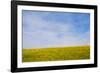 Meskel field in Simien Mountain, Ethiopia-Keren Su-Framed Photographic Print