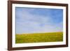 Meskel field in Simien Mountain, Ethiopia-Keren Su-Framed Photographic Print