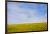 Meskel field in Simien Mountain, Ethiopia-Keren Su-Framed Photographic Print