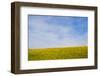 Meskel field in Simien Mountain, Ethiopia-Keren Su-Framed Photographic Print