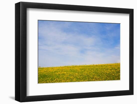 Meskel field in Simien Mountain, Ethiopia-Keren Su-Framed Photographic Print