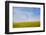 Meskel field in Simien Mountain, Ethiopia-Keren Su-Framed Photographic Print