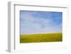 Meskel field in Simien Mountain, Ethiopia-Keren Su-Framed Photographic Print