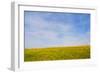 Meskel field in Simien Mountain, Ethiopia-Keren Su-Framed Photographic Print