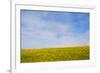 Meskel field in Simien Mountain, Ethiopia-Keren Su-Framed Photographic Print