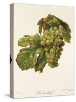 Meslier Hatif Grape-A. Kreyder-Stretched Canvas