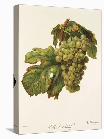 Meslier Hatif Grape-A. Kreyder-Stretched Canvas