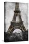 Mesmerized Paris-Marcus Prime-Stretched Canvas