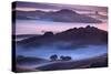 Mesmerizing Morning Hills and Fog, Petaluma California-Vincent James-Stretched Canvas