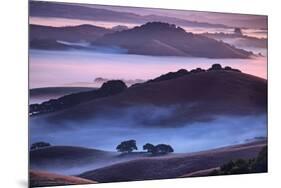 Mesmerizing Morning Hills and Fog, Petaluma California-Vincent James-Mounted Photographic Print