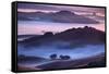 Mesmerizing Morning Hills and Fog, Petaluma California-Vincent James-Framed Stretched Canvas