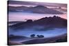 Mesmerizing Morning Hills and Fog, Petaluma California-Vincent James-Stretched Canvas