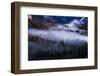 Mesmerizing Yosemite Valley, Streaming Fog and Trees-Vincent James-Framed Photographic Print