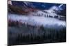 Mesmerizing Yosemite Valley, Streaming Fog and Trees-Vincent James-Mounted Photographic Print