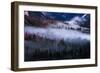 Mesmerizing Yosemite Valley, Streaming Fog and Trees-Vincent James-Framed Photographic Print