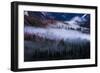 Mesmerizing Yosemite Valley, Streaming Fog and Trees-Vincent James-Framed Photographic Print
