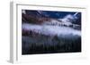 Mesmerizing Yosemite Valley, Streaming Fog and Trees-Vincent James-Framed Photographic Print