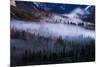 Mesmerizing Yosemite Valley, Streaming Fog and Trees-Vincent James-Mounted Photographic Print
