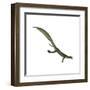 Mesosaurus Dinosaur-Stocktrek Images-Framed Art Print