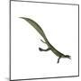 Mesosaurus Dinosaur-Stocktrek Images-Mounted Art Print