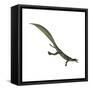 Mesosaurus Dinosaur-Stocktrek Images-Framed Stretched Canvas