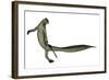 Mesosaurus Dinosaur-Stocktrek Images-Framed Art Print