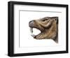 Mesotherium-null-Framed Photographic Print