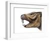 Mesotherium-null-Framed Photographic Print