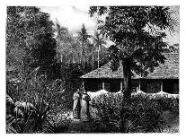 Mosque on Ternate, Indonesia, 19th Century-Mesples-Laminated Giclee Print