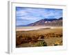 Mesquite and the Black Mountains of the Amaragosa Range, Death Valley National Park, CA-Bernard Friel-Framed Photographic Print