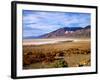 Mesquite and the Black Mountains of the Amaragosa Range, Death Valley National Park, CA-Bernard Friel-Framed Photographic Print