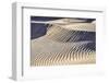 Mesquite Dunes, Death Valley National Park, California.-John Ford-Framed Photographic Print