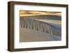 Mesquite Dunes, Death Valley National Park, California.-John Ford-Framed Photographic Print