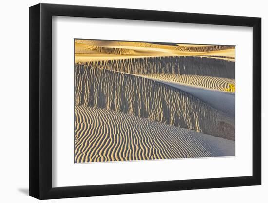 Mesquite Dunes, Death Valley National Park, California.-John Ford-Framed Photographic Print