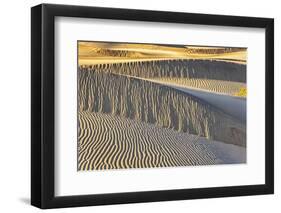 Mesquite Dunes, Death Valley National Park, California.-John Ford-Framed Photographic Print