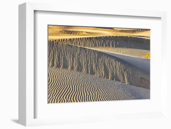 Mesquite Dunes, Death Valley National Park, California.-John Ford-Framed Photographic Print