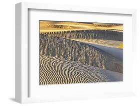 Mesquite Dunes, Death Valley National Park, California.-John Ford-Framed Photographic Print