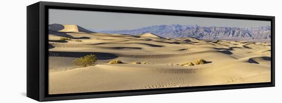 Mesquite Dunes, Death Valley National Park, California.-John Ford-Framed Stretched Canvas