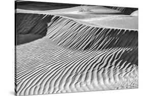 Mesquite Dunes, Death Valley National Park, California.-John Ford-Stretched Canvas