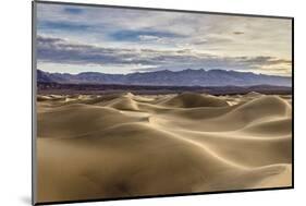 Mesquite Dunes, Death Valley National Park, California.-John Ford-Mounted Photographic Print