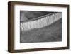 Mesquite Dunes, Death Valley National Park, California.-John Ford-Framed Photographic Print