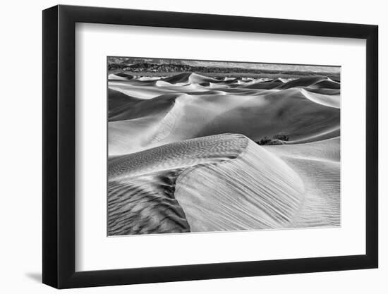 Mesquite Dunes, Death Valley National Park, California.-John Ford-Framed Photographic Print