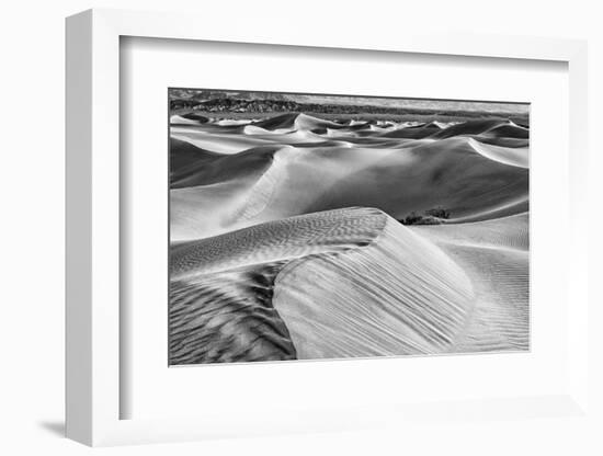 Mesquite Dunes, Death Valley National Park, California.-John Ford-Framed Photographic Print