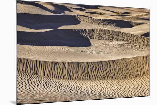 Mesquite Dunes, Death Valley National Park, California.-John Ford-Mounted Photographic Print