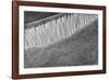 Mesquite Dunes, Death Valley National Park, California.-John Ford-Framed Photographic Print