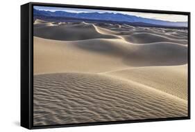 Mesquite Dunes, Death Valley National Park, California.-John Ford-Framed Stretched Canvas